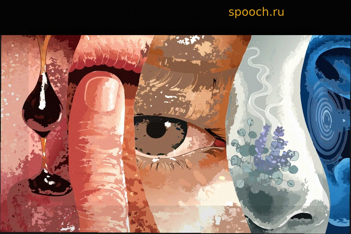 Что, если у нас больше пяти чувств?