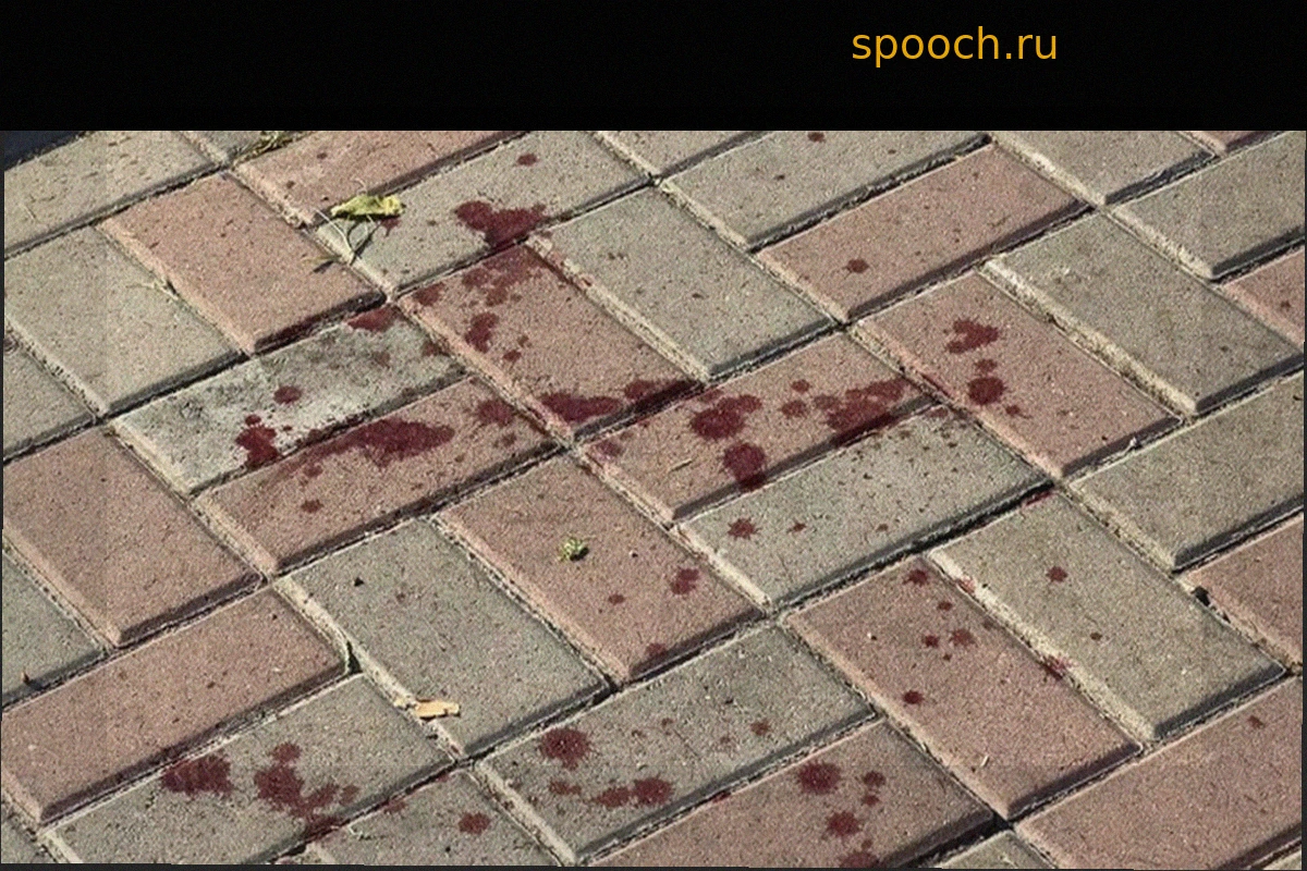 Шесть человек ранены в массовой драке с катанами и мачете в Лериде