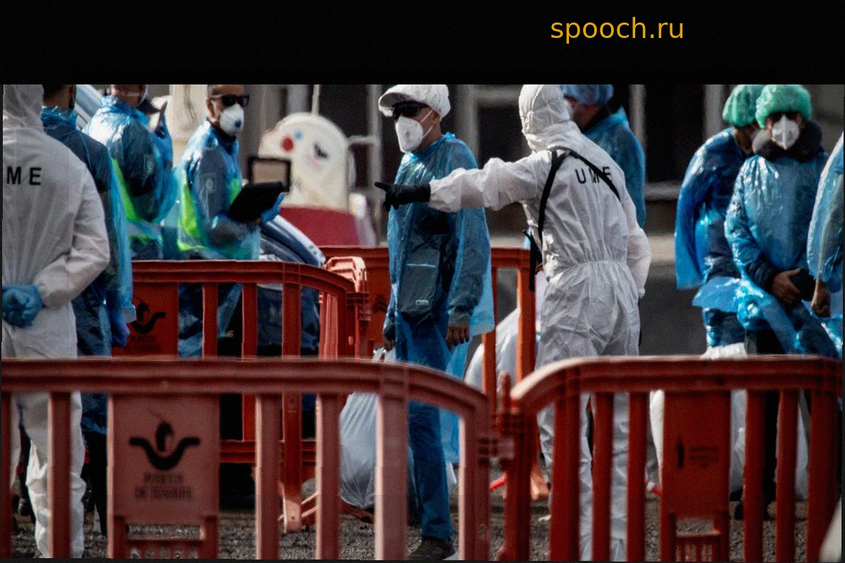 Клавьехо прибегнул к искусственному интеллекту, чтобы убедить министра здравоохранения в способности крыс плавать