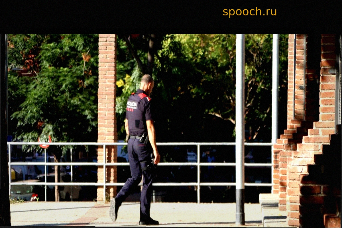 Моссос исключают случайный характер убийства подростка в Барселоне