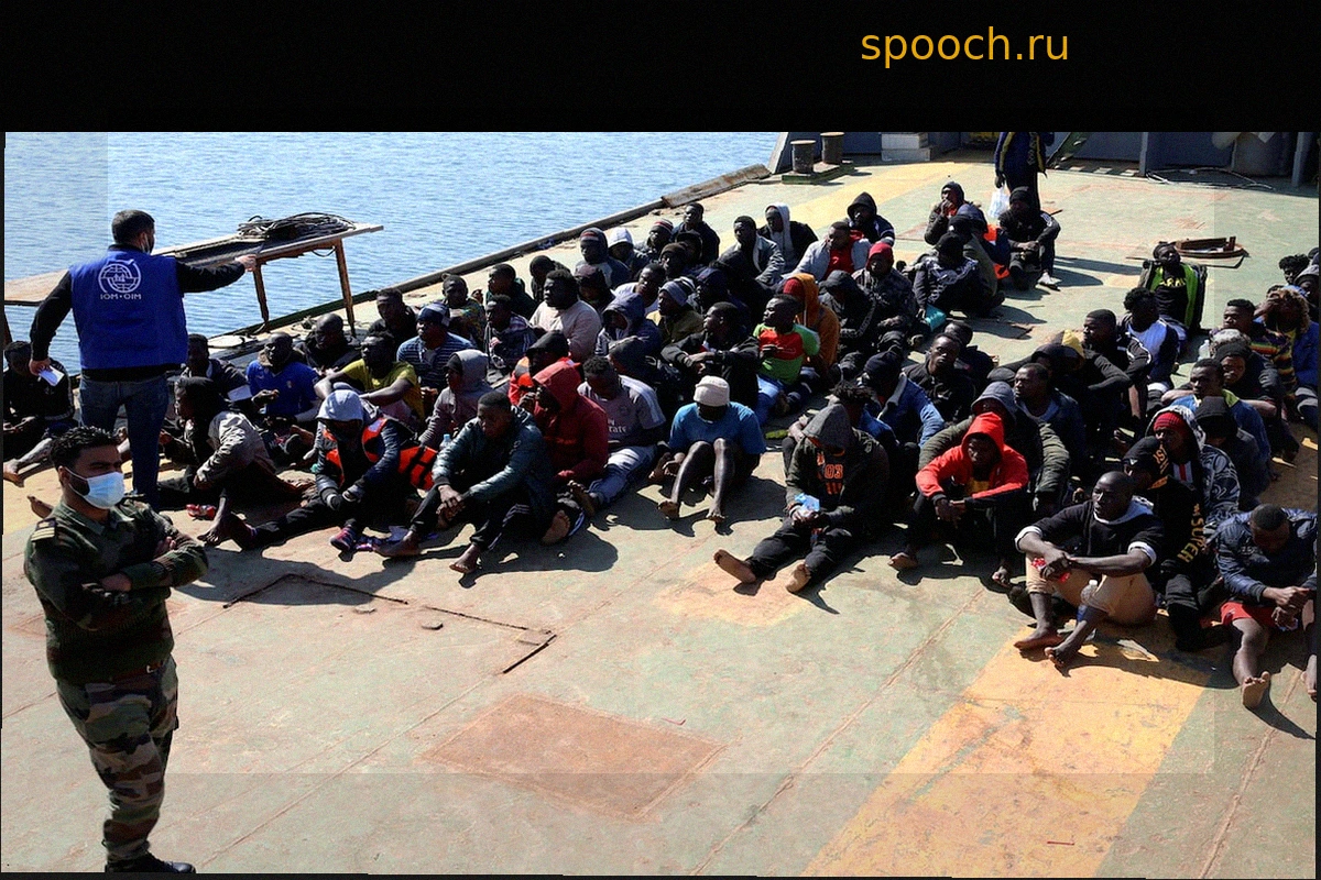 Нелегальная миграция: Большой разворот